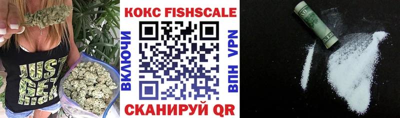 Кокаин FishScale  Змеиногорск 