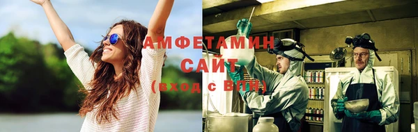 шишки Алексин