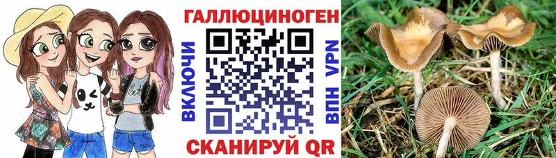 где можно купить наркотик  Змеиногорск  Псилоцибиновые грибы ЛСД 
